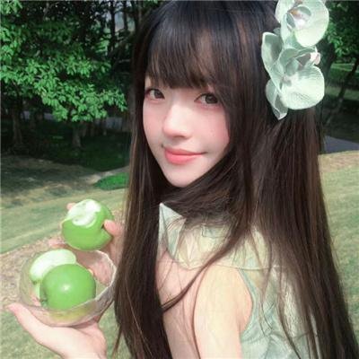 案中案